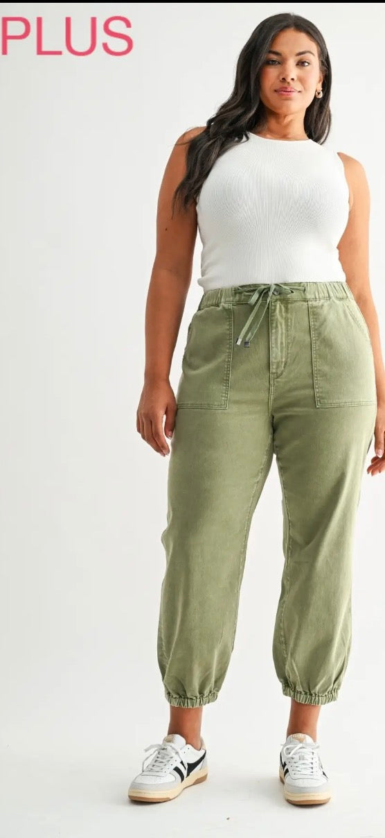 Plus High Rise Crop Jogger