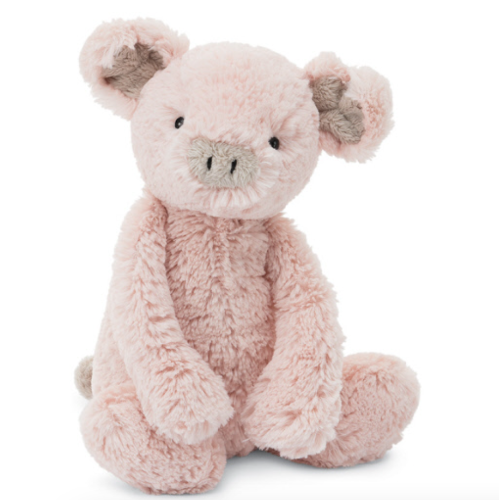Bashful Pig