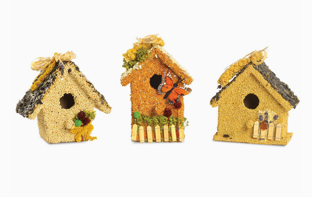 Birdie Cottage All Season