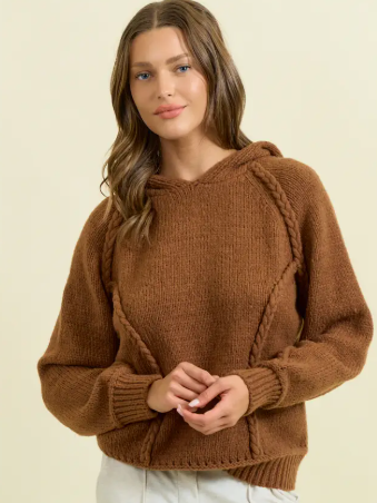 Braided Detail Sweater Hoodie