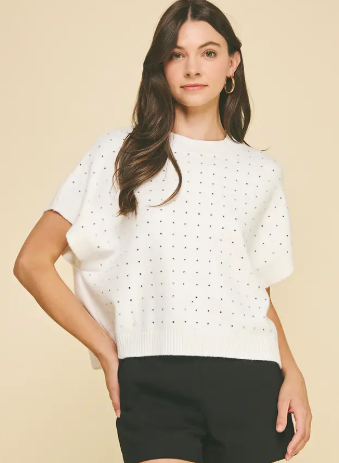 Stone Embroidered Sweater