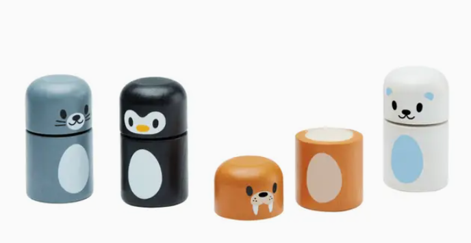 Arctic Animal Matching