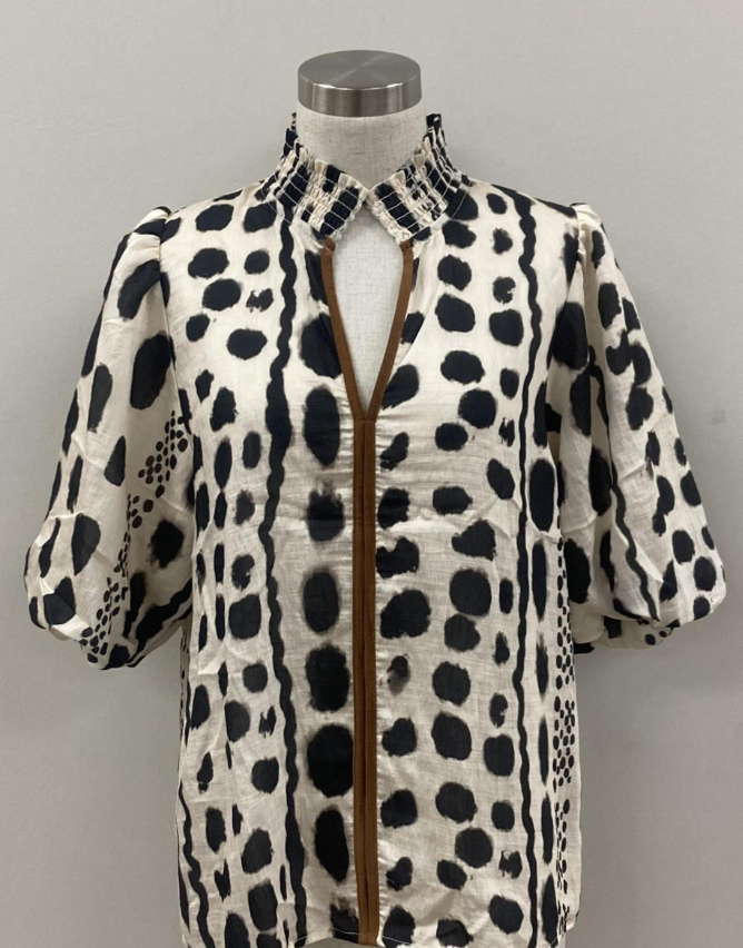 Silky Geometric Top