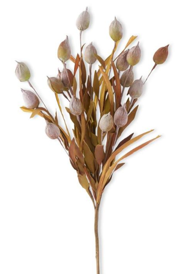 24 inch Yellow &amp;  Green Sleepy Silene Eva Bush