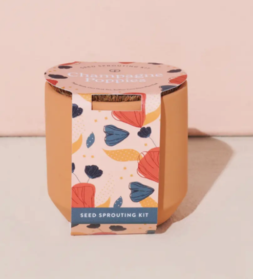 Tiny Terracotta Grow Kit