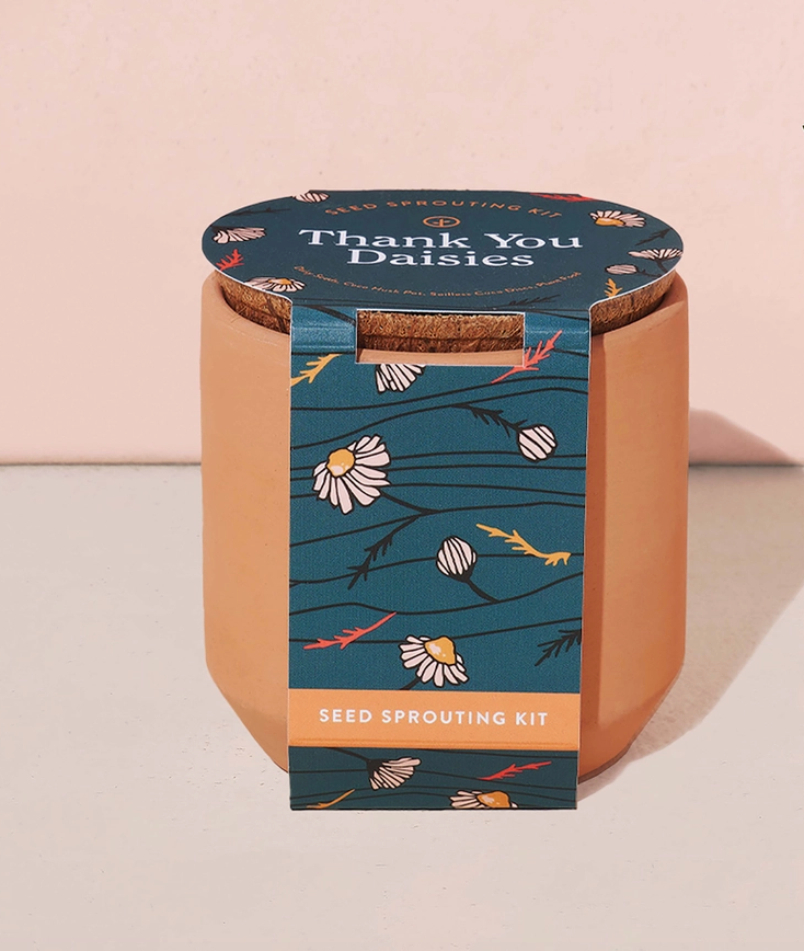 Tiny Terracotta Grow Kit