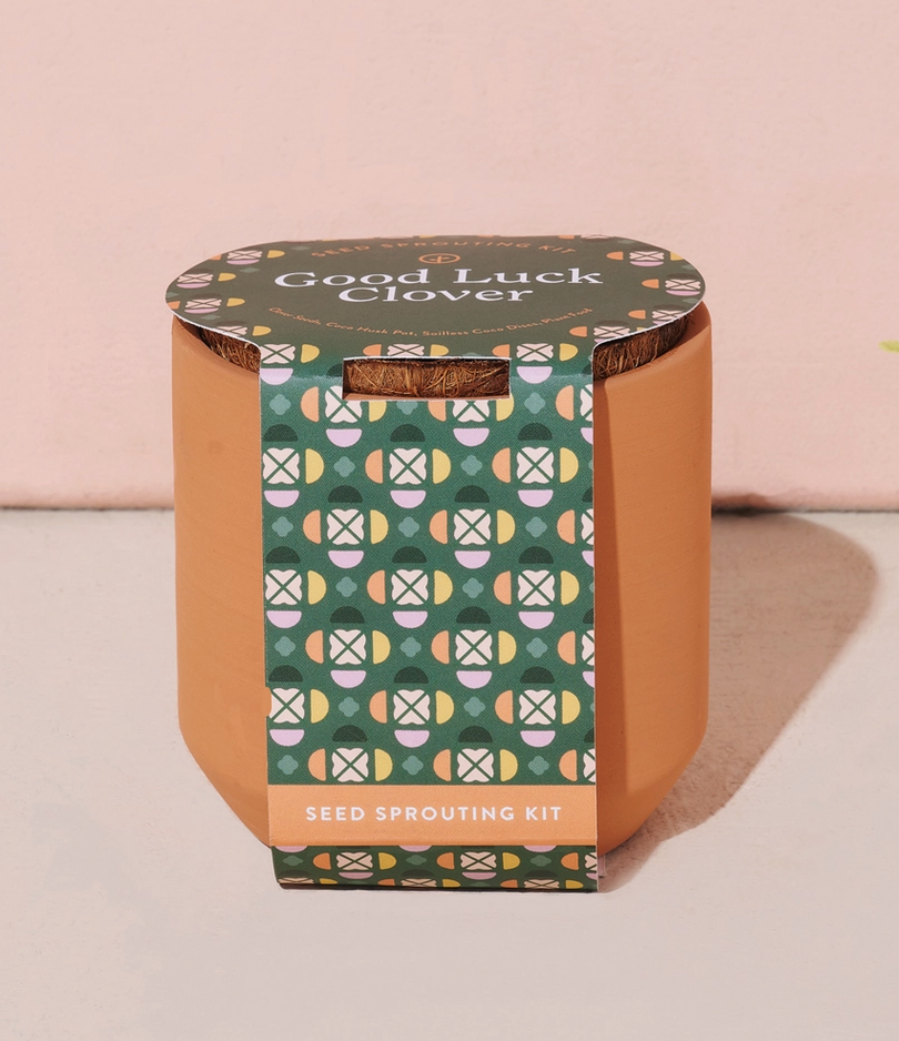 Tiny Terracotta Grow Kit