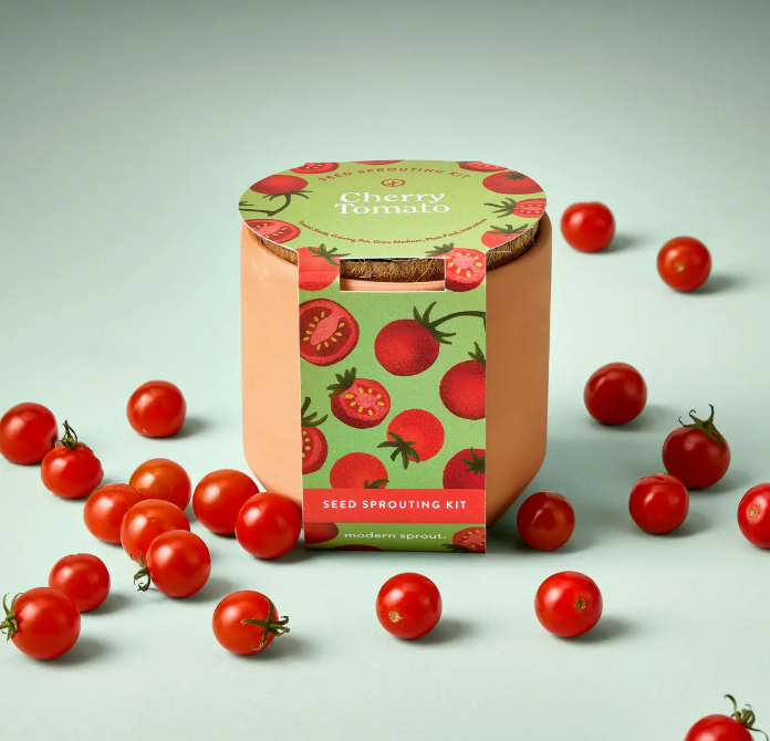 Tiny Terracotta Grow Kit