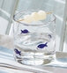 Blue Fish Glass