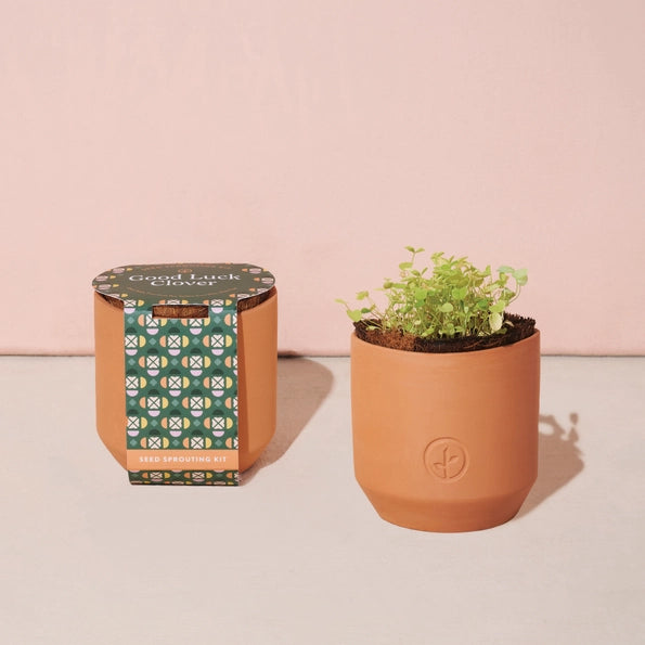 Tiny Terracotta Grow Kit