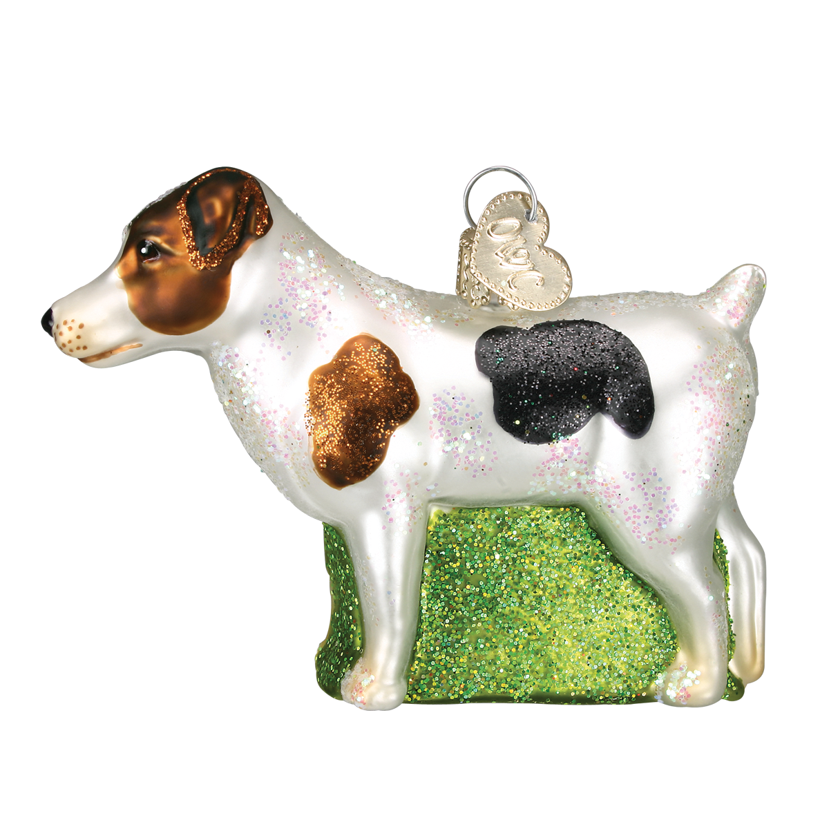 Jack Russell Terrier