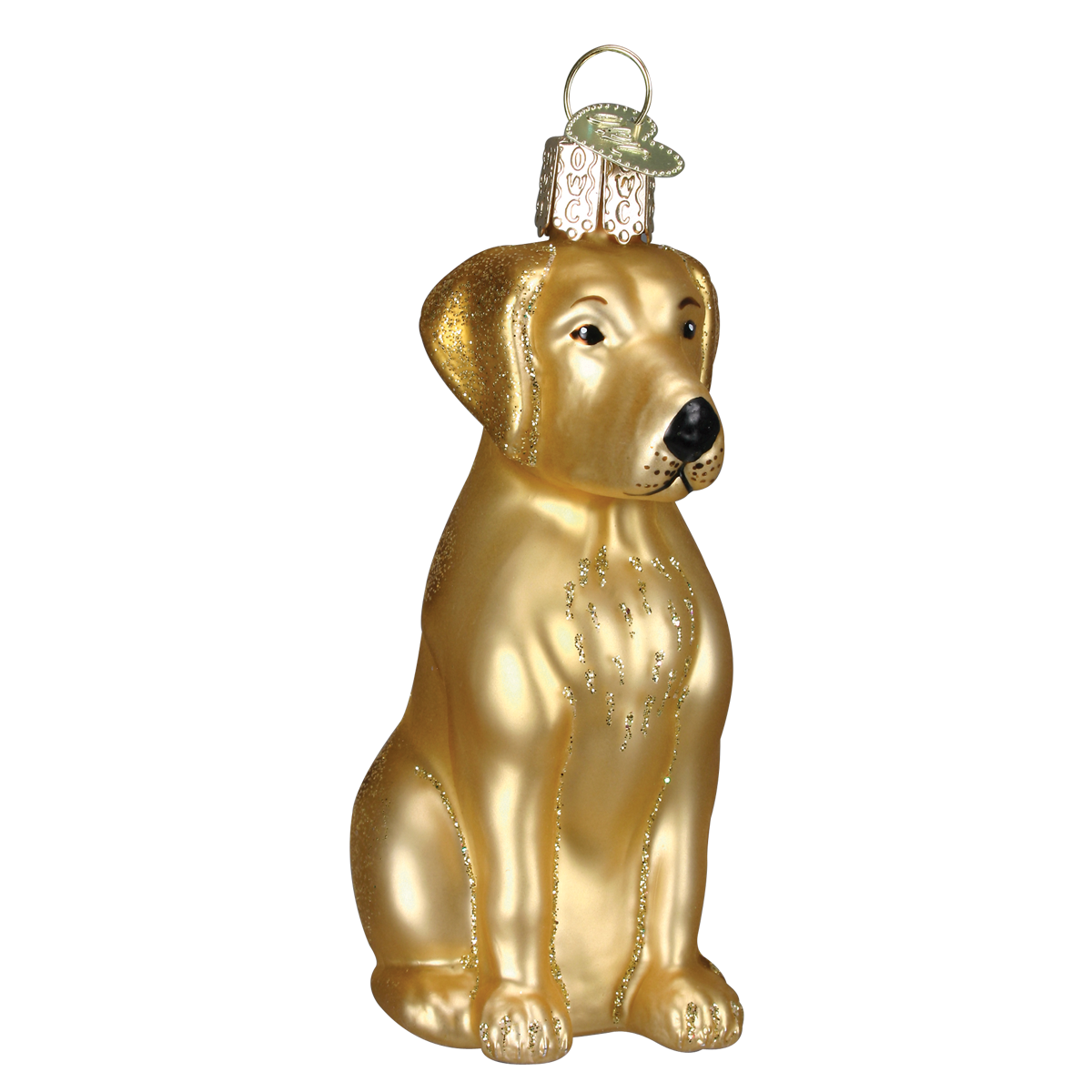 Yellow Labrador