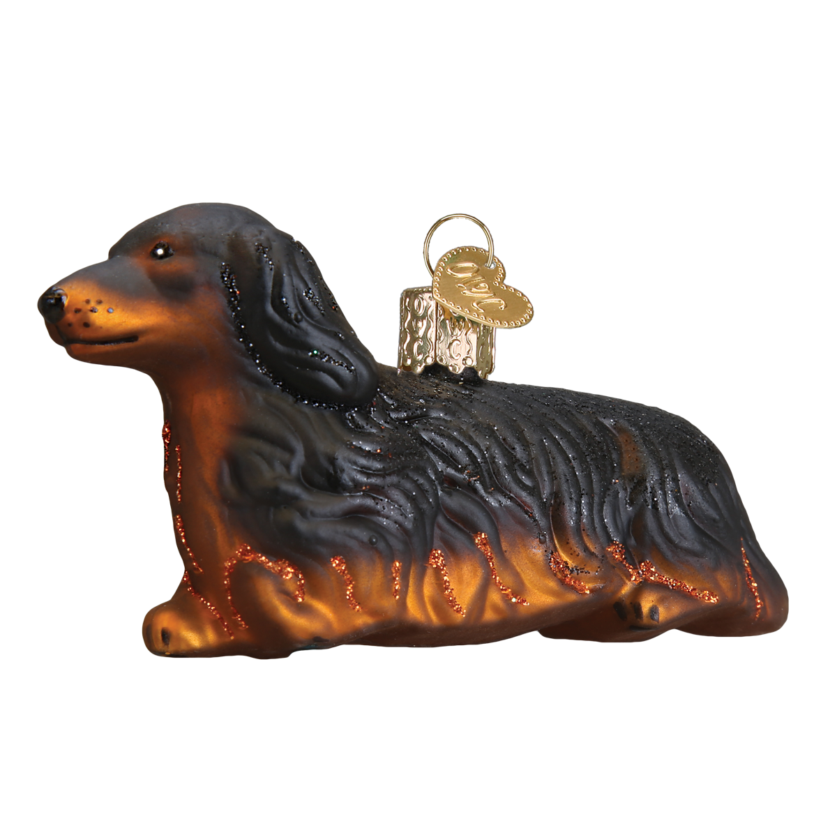 Long-Haried Dachshund