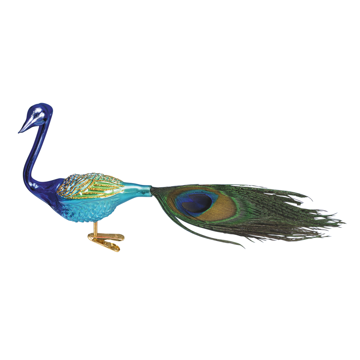 Magnificient Peacock