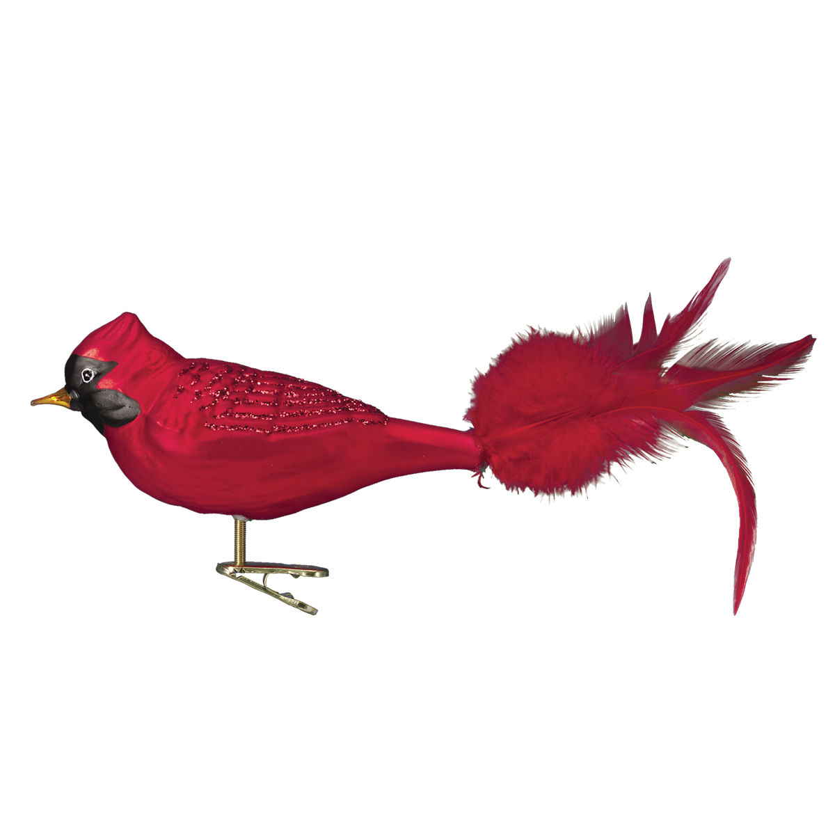 Large Red Cardinal