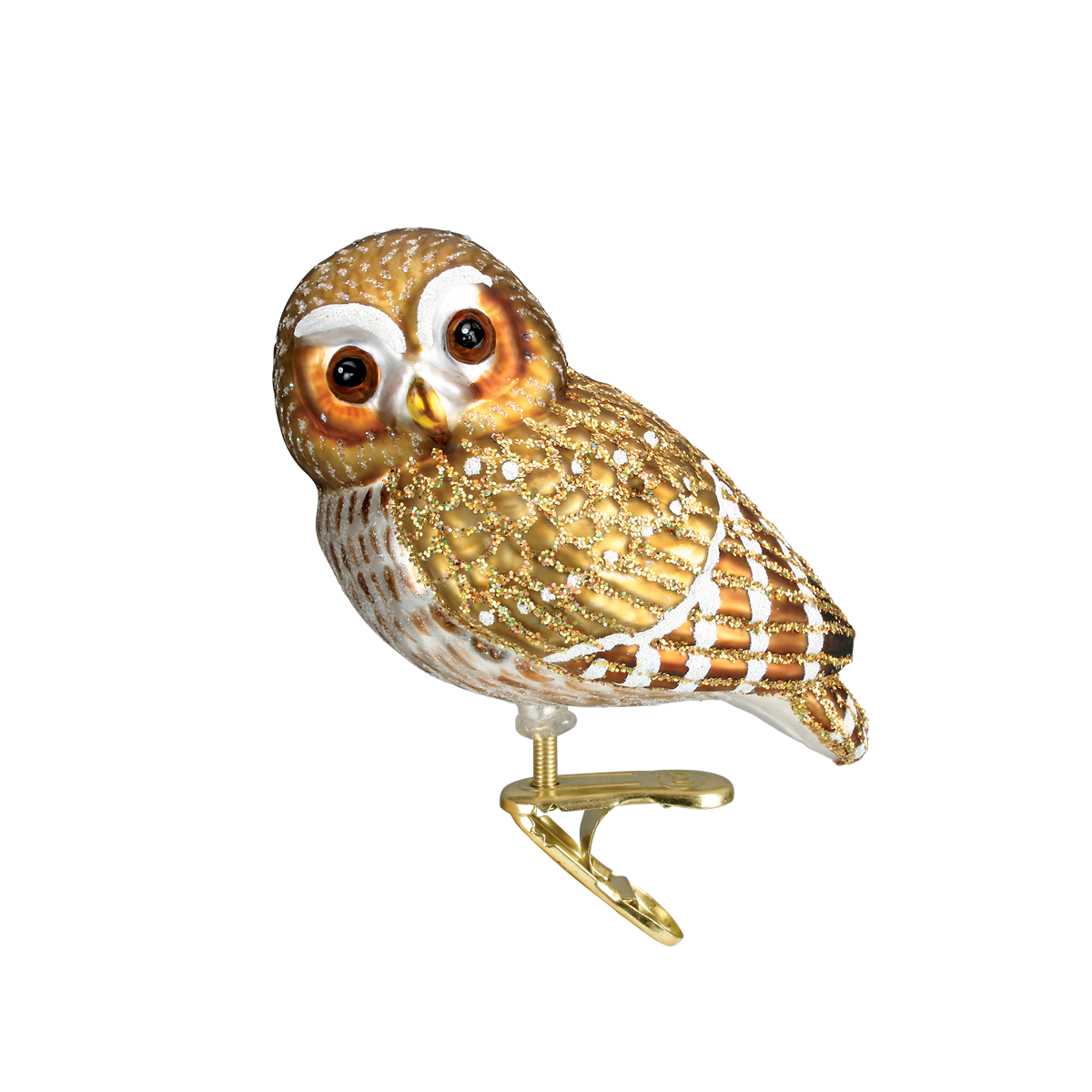 Pygmy Owl