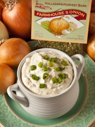 Farmhouse Five Onion dip