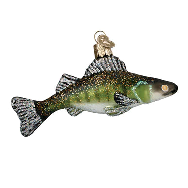 Walleye