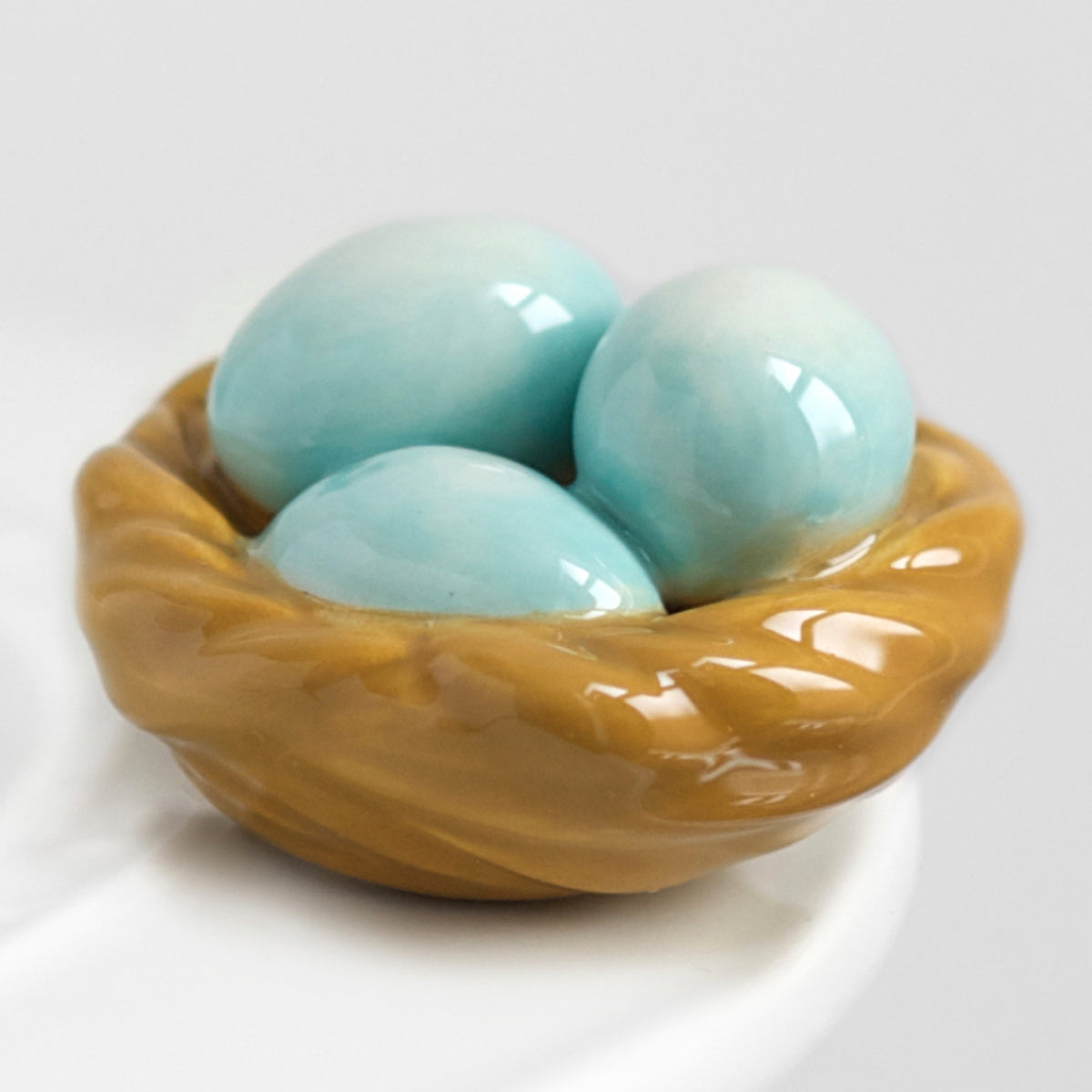 Robin&#39;s Egg Blue