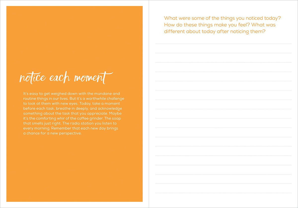 Journal - Finding Gratutide