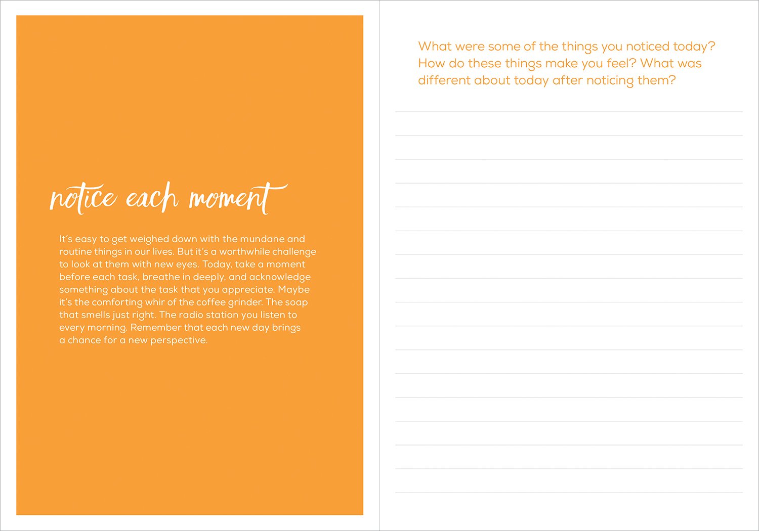 Journal - Finding Gratutide